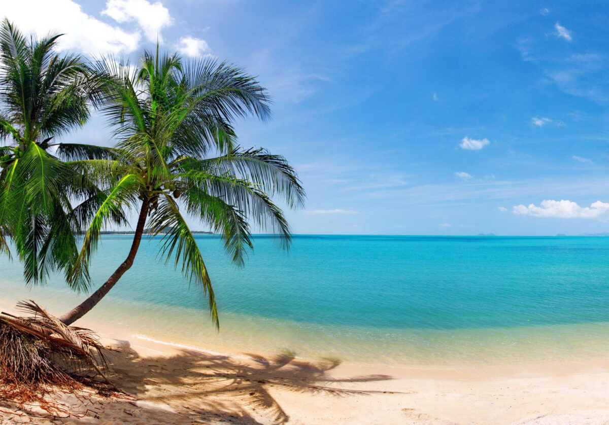 Tropical Hawaiian Beach