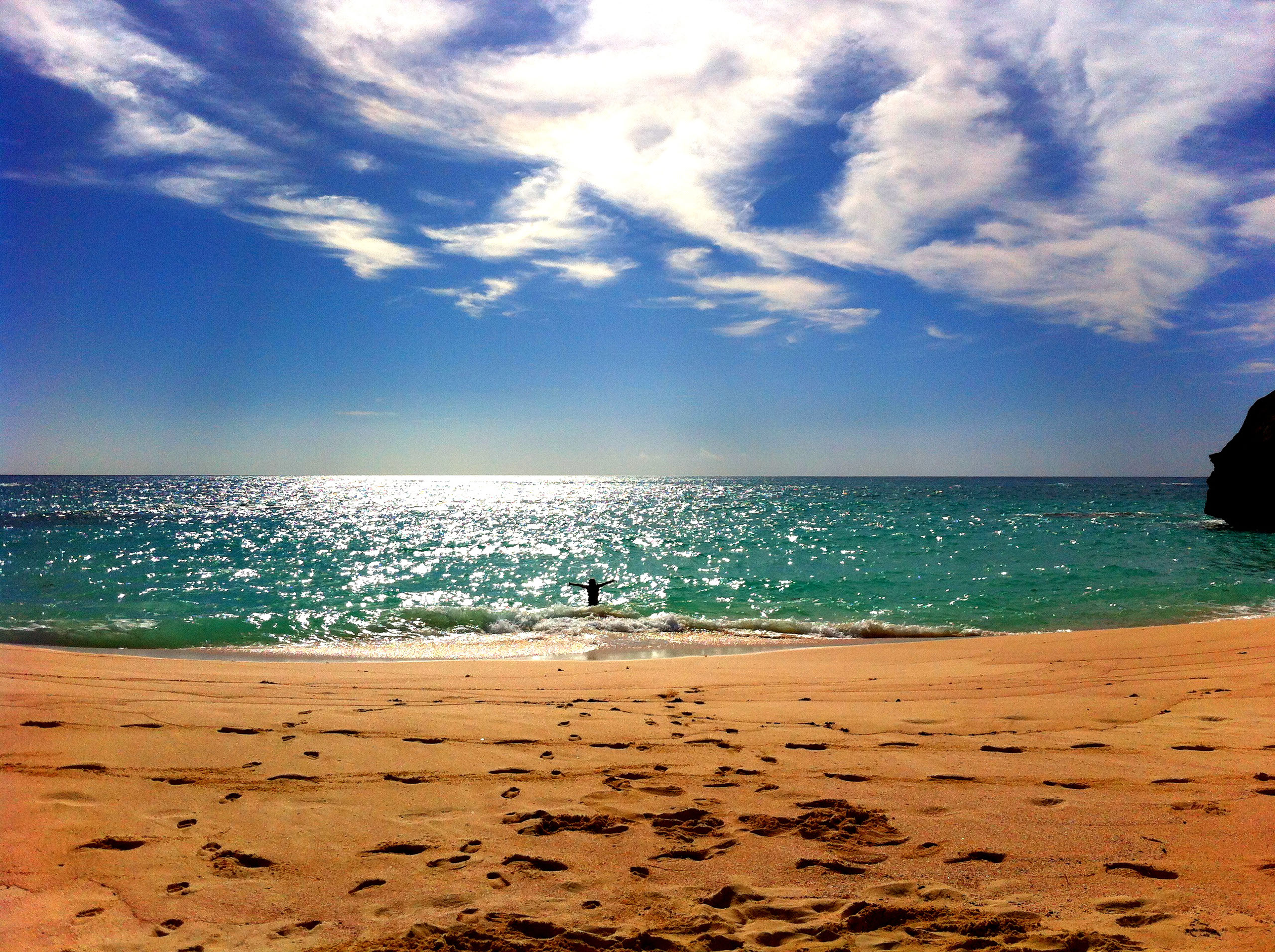 Hawaii Tropical Beach