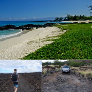 Top 5 Big Island Beaches