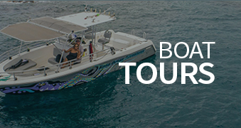 Activities: Boat Tours