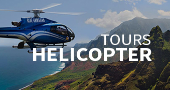 Activities: Helicopter Tours