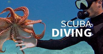 Activities: Scuba Diving